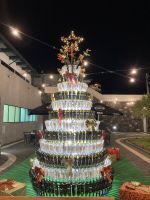 Weihnachtsbaum einmal anders….