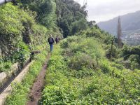 ….wandern entlang der Levada