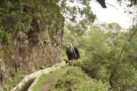 weiter Levada von Marocos
