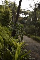 Botanischer Garten von Funchal