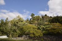 Botanischer Garten von Funchal