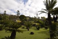 Botanischer Garten von Funchal