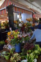 Blumen in Markthalle Funchal