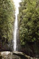 25 Fontäne - 25 Quellen