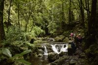 Ziel Wasserfall Levada do Rei