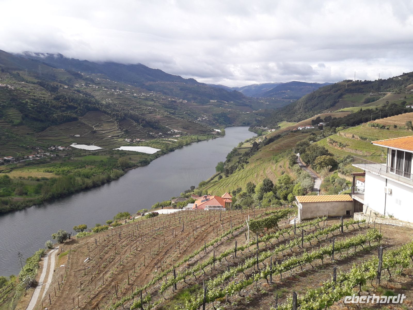 Dourotal - Weinberge