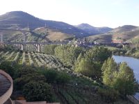 Peso da Regua - Blick vom Hotel