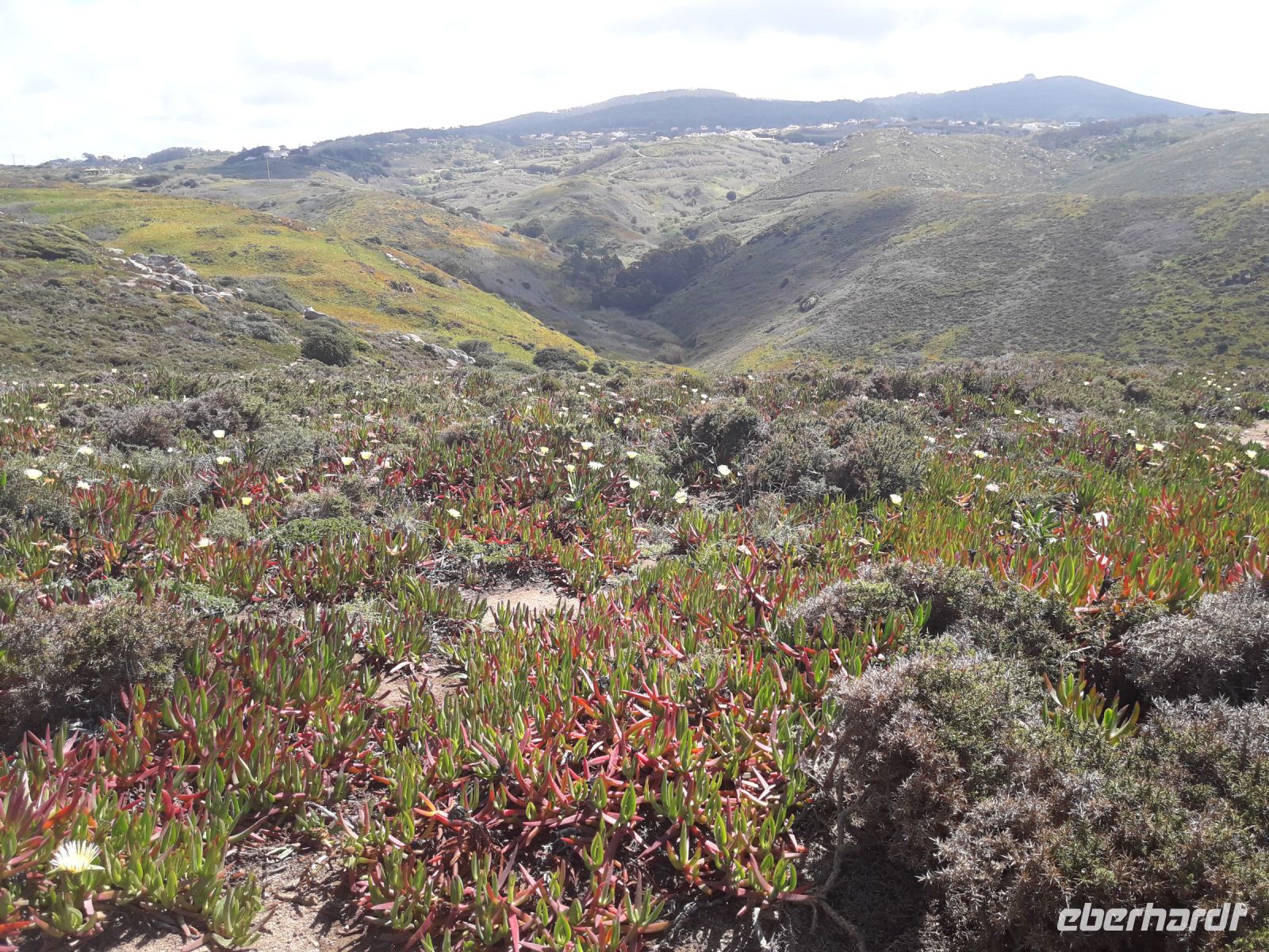 Cabo da Roca - Hinterland