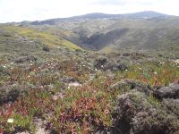 Cabo da Roca - Hinterland
