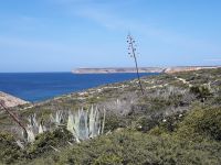 Sagres - Blick zum Cabo Sao Vicente