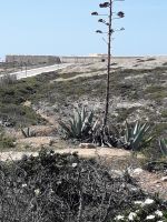 Sagres - Festung