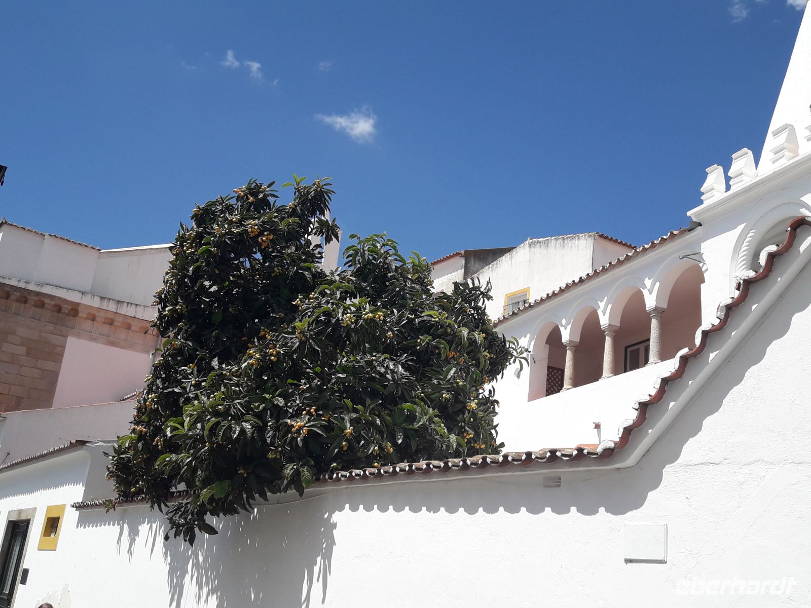 Evora - Stadtorangen