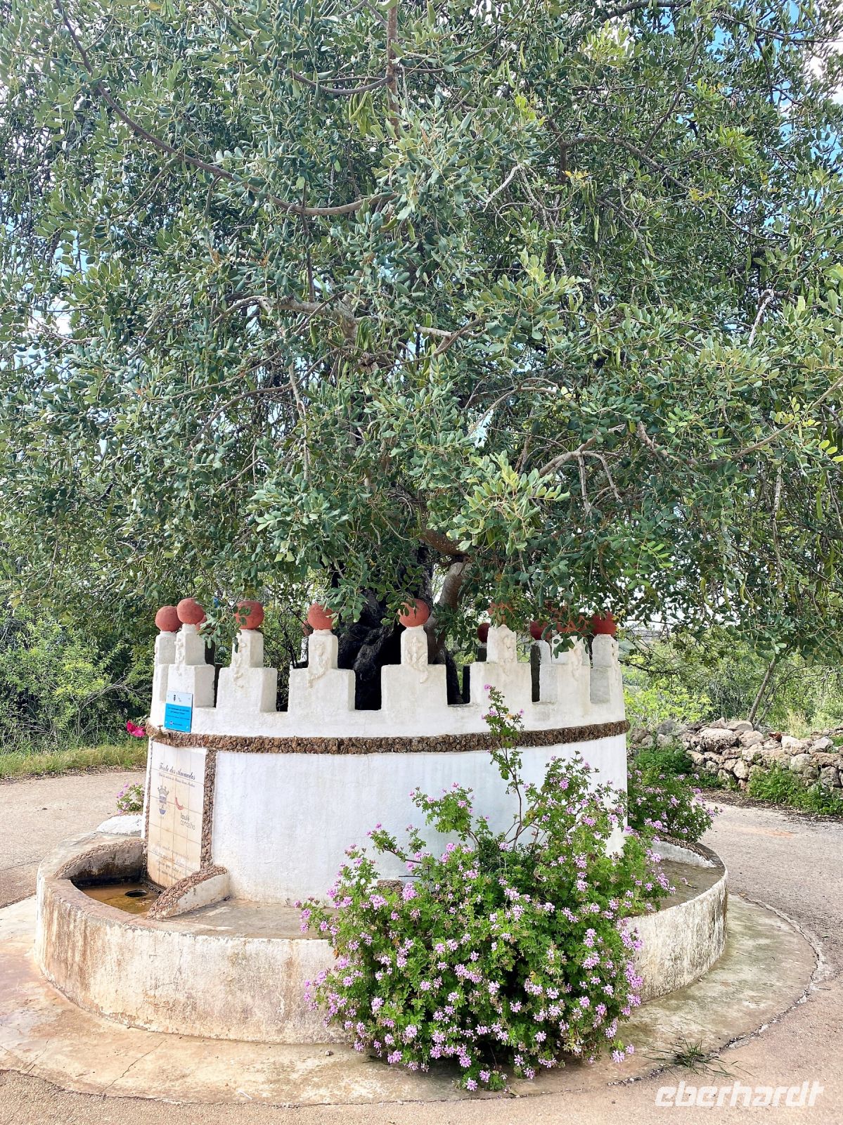 Tag 2 - Startpunkt unserer Wanderung.jpg