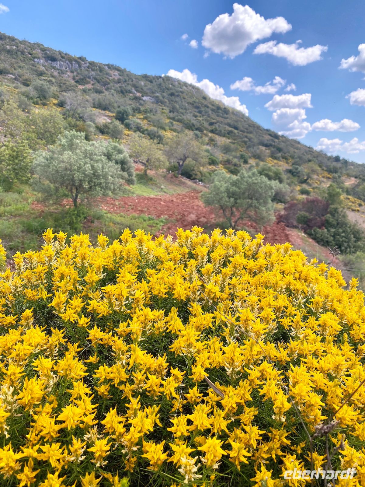 Tag 2 - Der Aufstieg.jpg