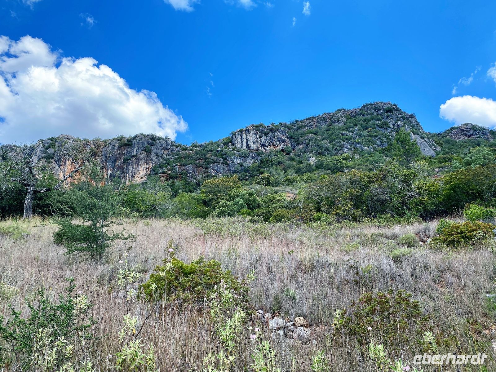 Tag 2 - Das Ziel vor Augen.jpg