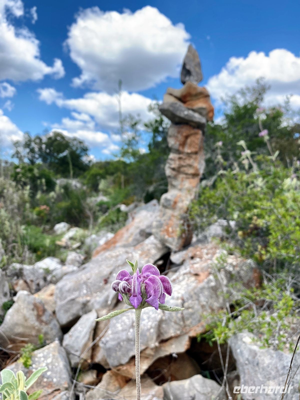 Tag 2 - Impressionen.jpg