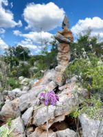 Tag 2 - Impressionen.jpg