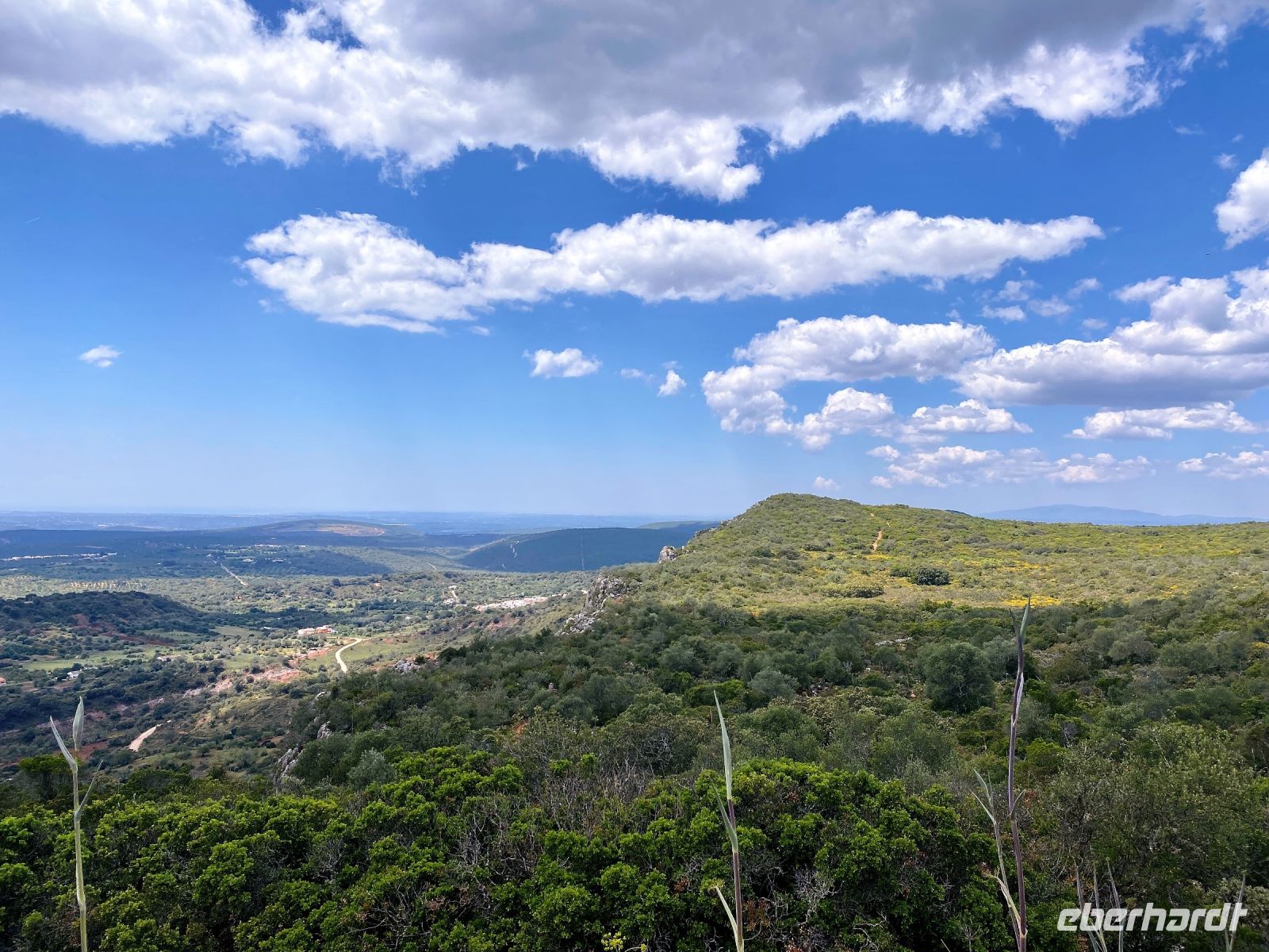 Tag 2 - Den Gipfel vor Augen.jpg