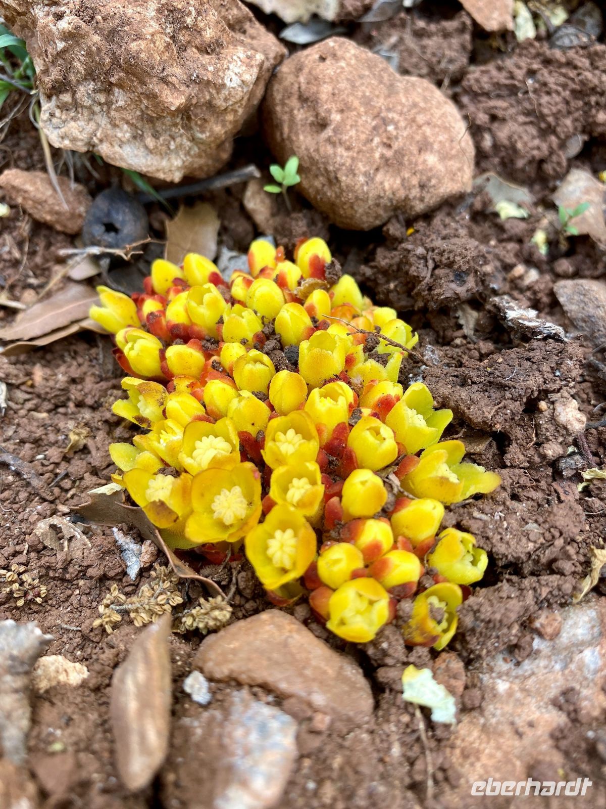 Tag 2 - Impressionen.jpg