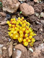 Tag 2 - Impressionen.jpg