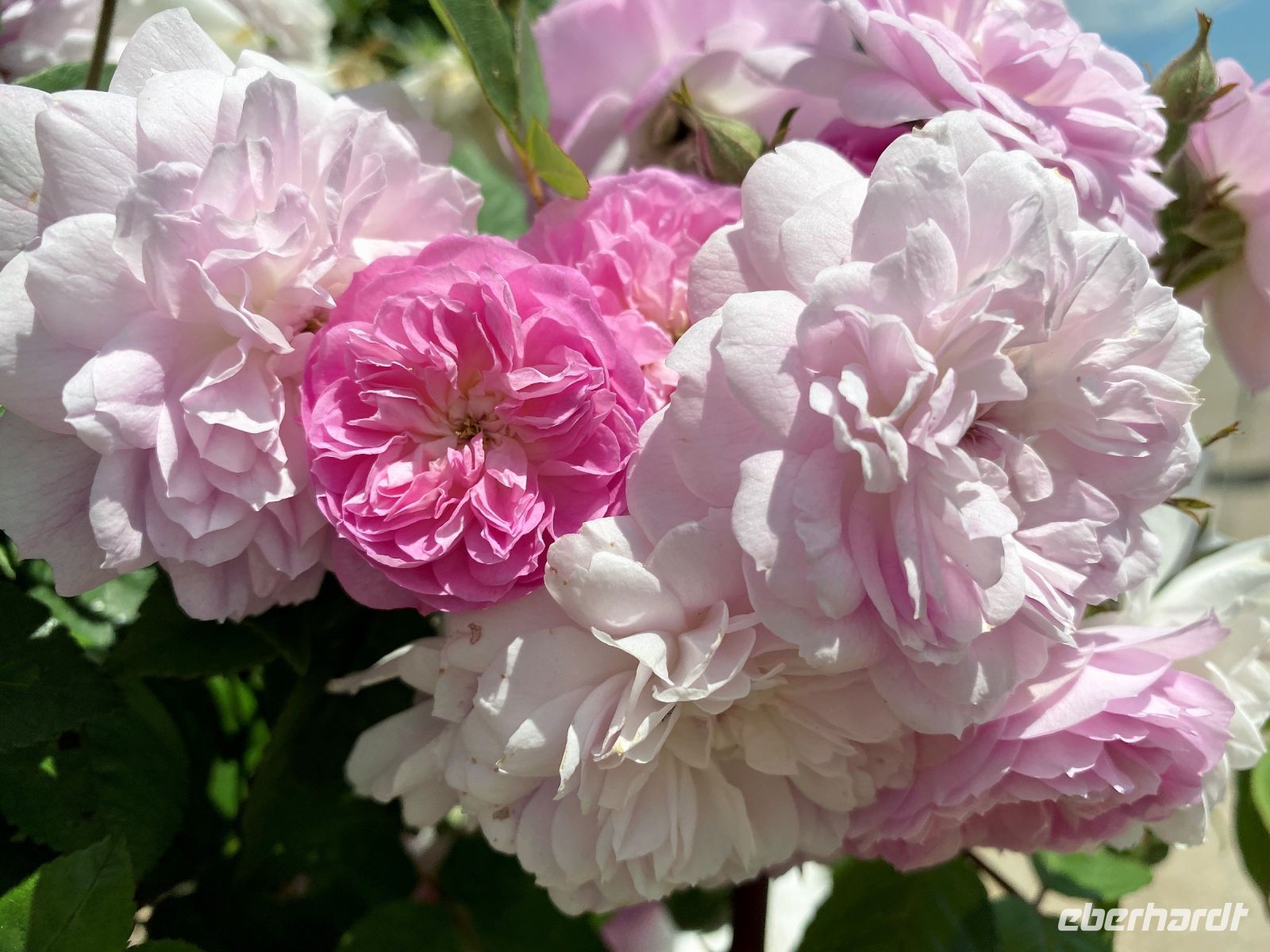 Tag 2 - Impressionen.jpg