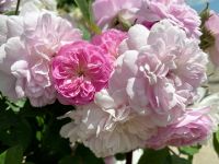 Tag 2 - Impressionen.jpg