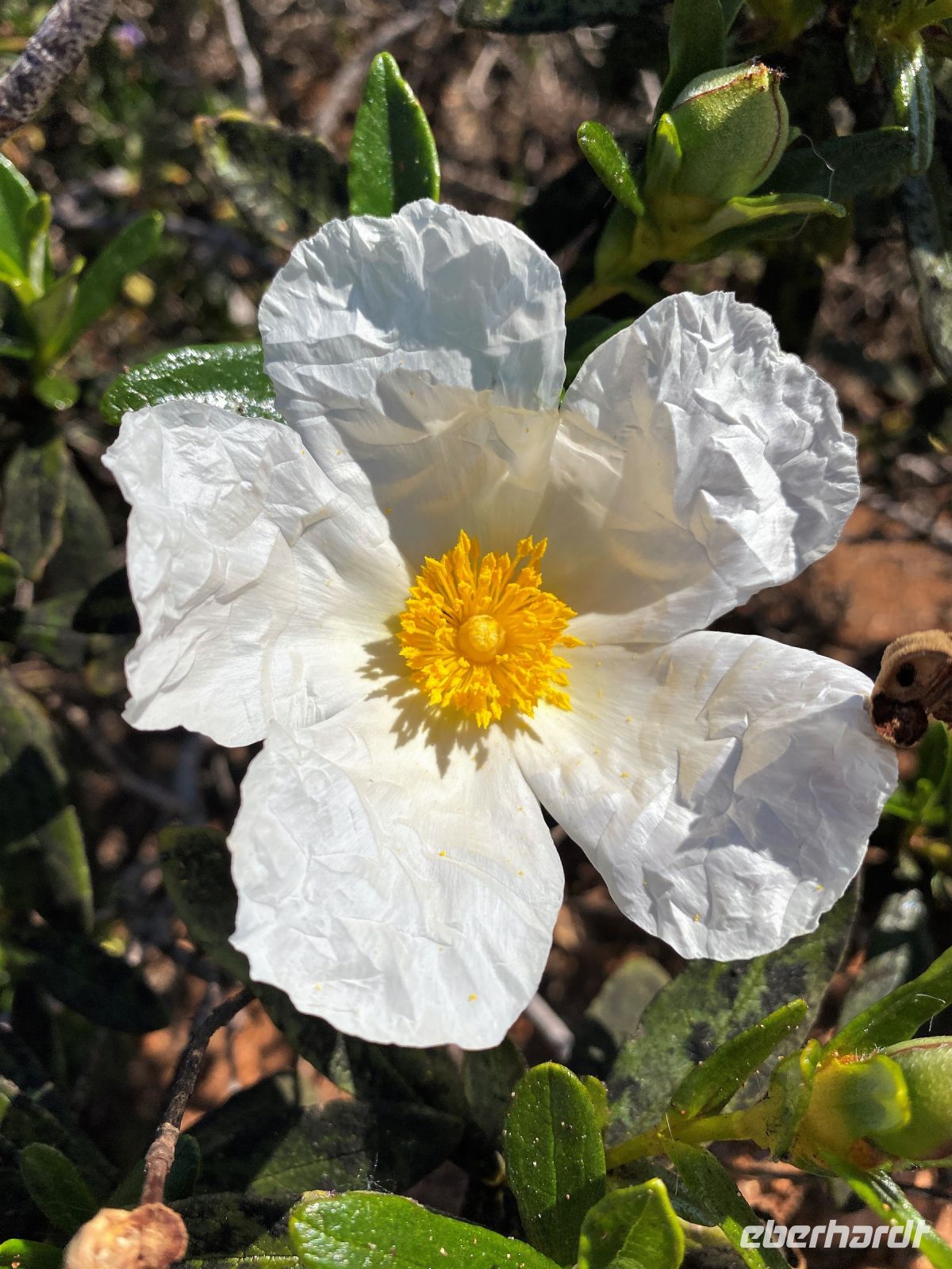 Tag 3 - Impressionen.jpg