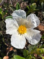 Tag 3 - Impressionen.jpg