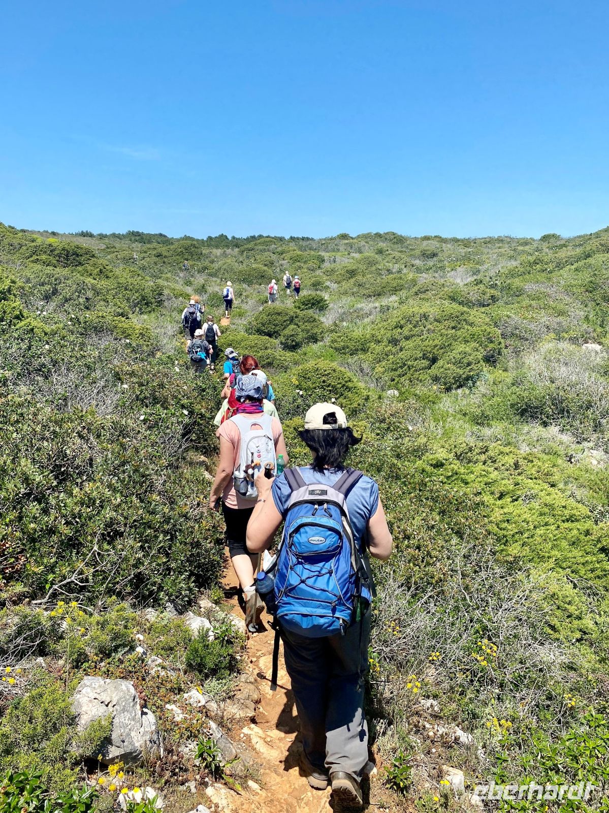 Tag 3 - Alles grün.jpg