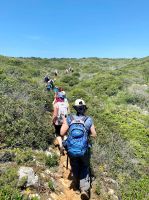 Tag 3 - Alles grün.jpg