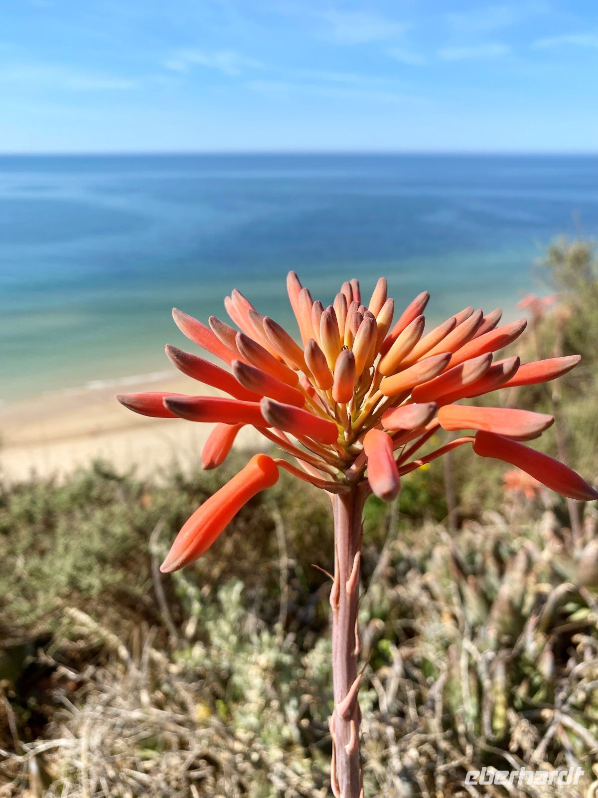 Tag 4 - Impressionen.jpg