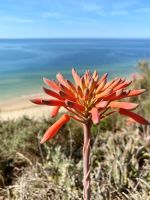 Tag 4 - Impressionen.jpg