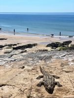 Tag 4 - Ob es wohl echt ist?.jpg