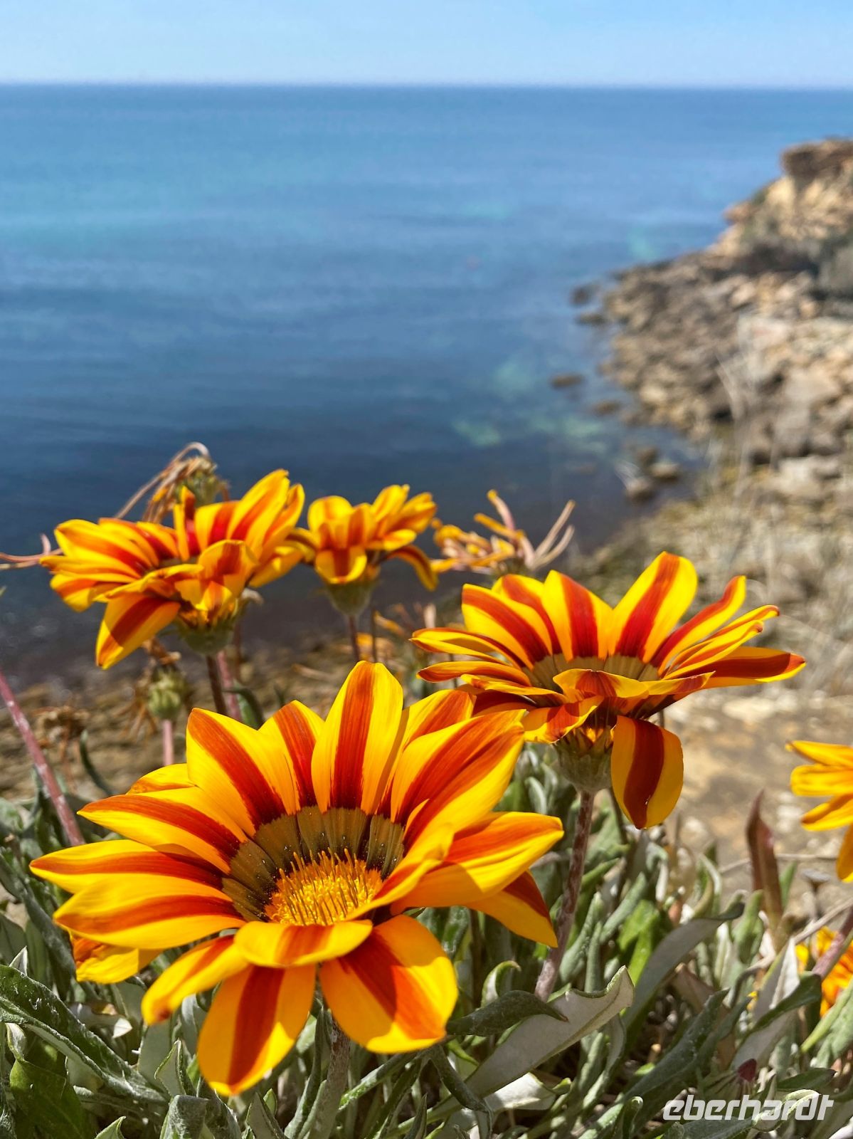 Tag 4 - Impressionen.jpg