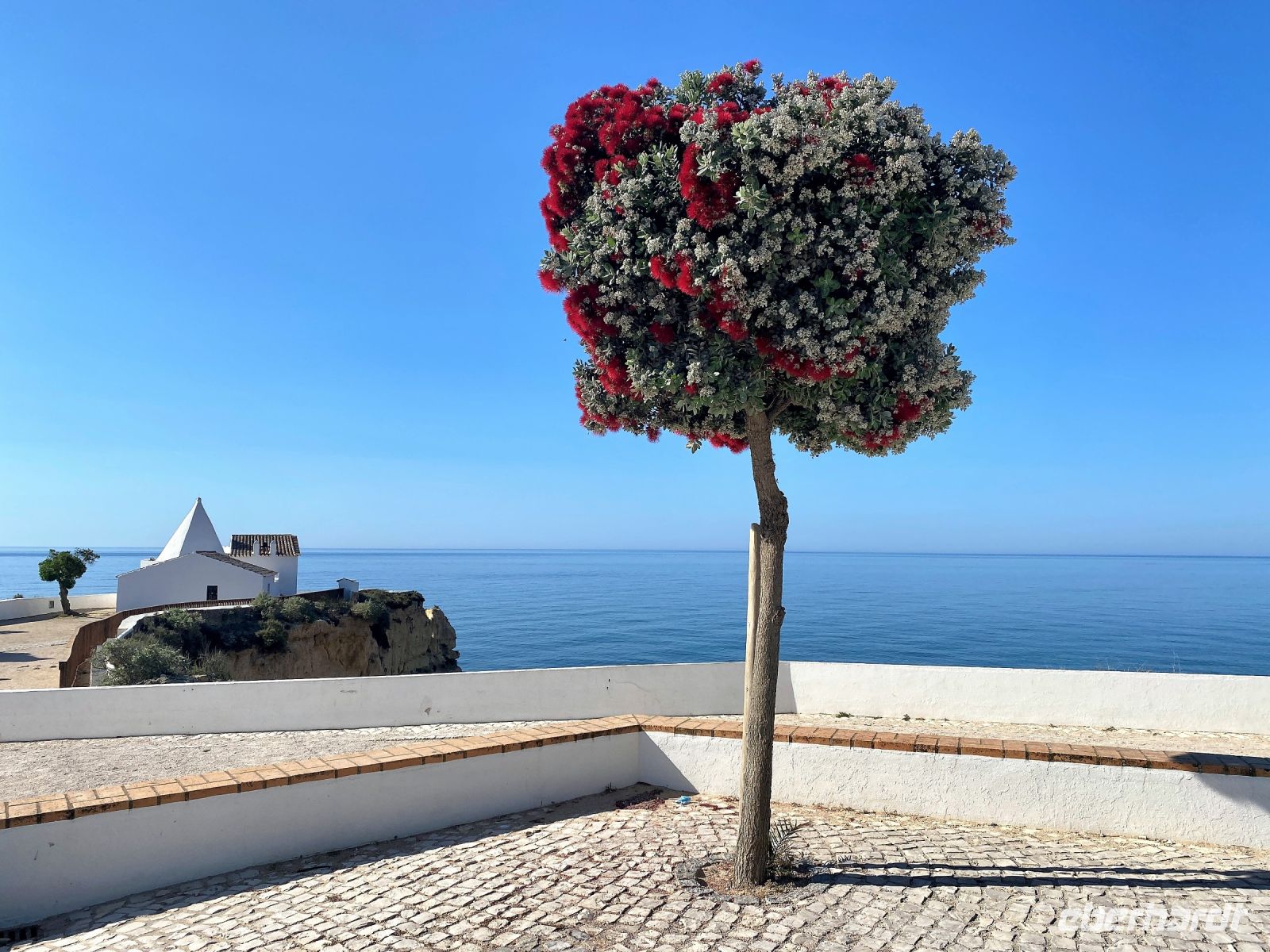 Tag 6 - Start unserer heutigen Wanderung.jpg