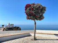 Tag 6 - Start unserer heutigen Wanderung.jpg