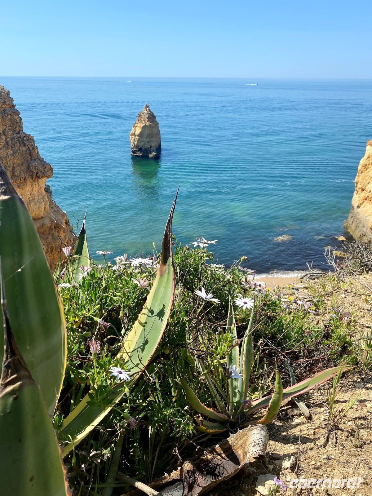 Tag 6 - Immer wieder faszinierende Ausblicke.jpg