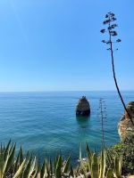 Tag 6 - Schöne Landschaft.jpg