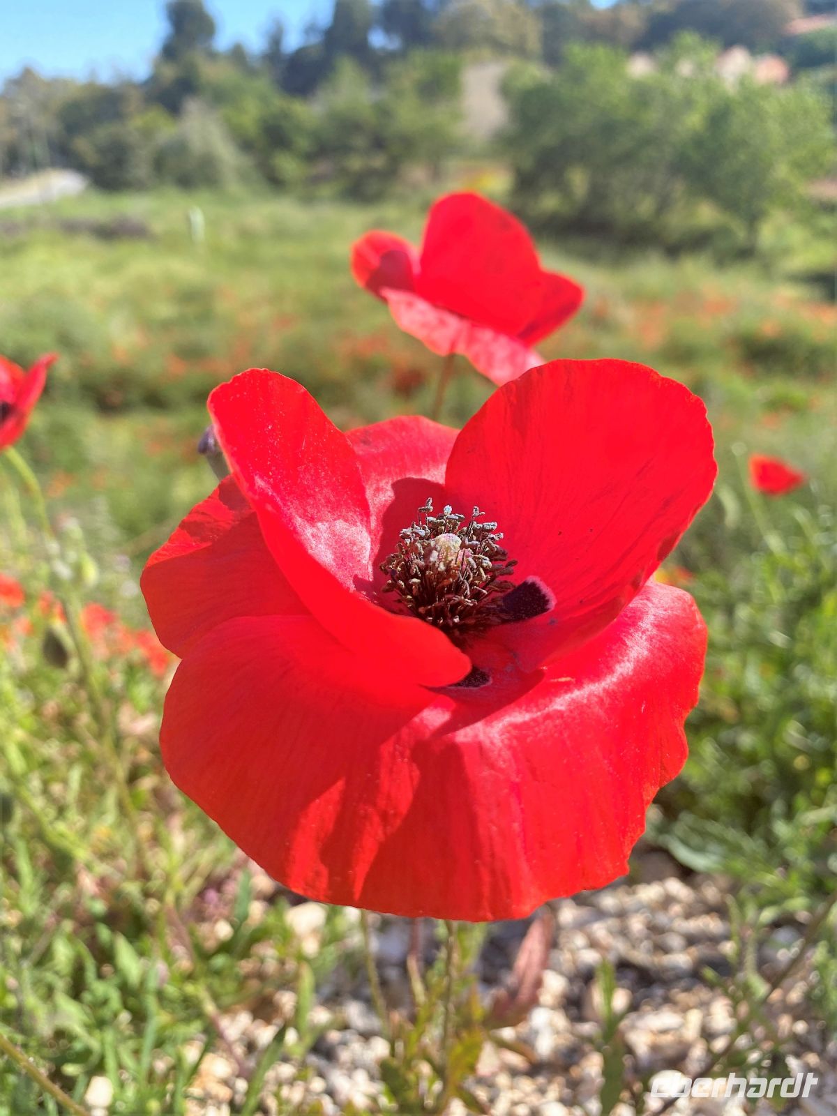 Tag 7 - Letzter Wandertag.jpg