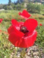 Tag 7 - Letzter Wandertag.jpg