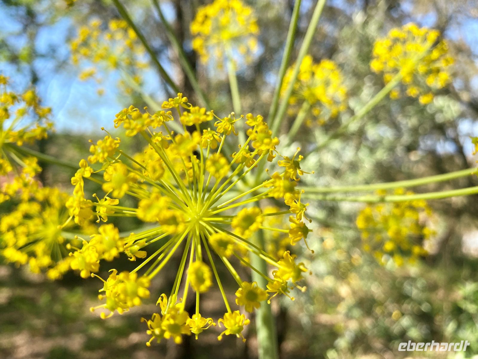 Tag 7 - Impressionen.jpg