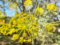 Tag 7 - Impressionen.jpg