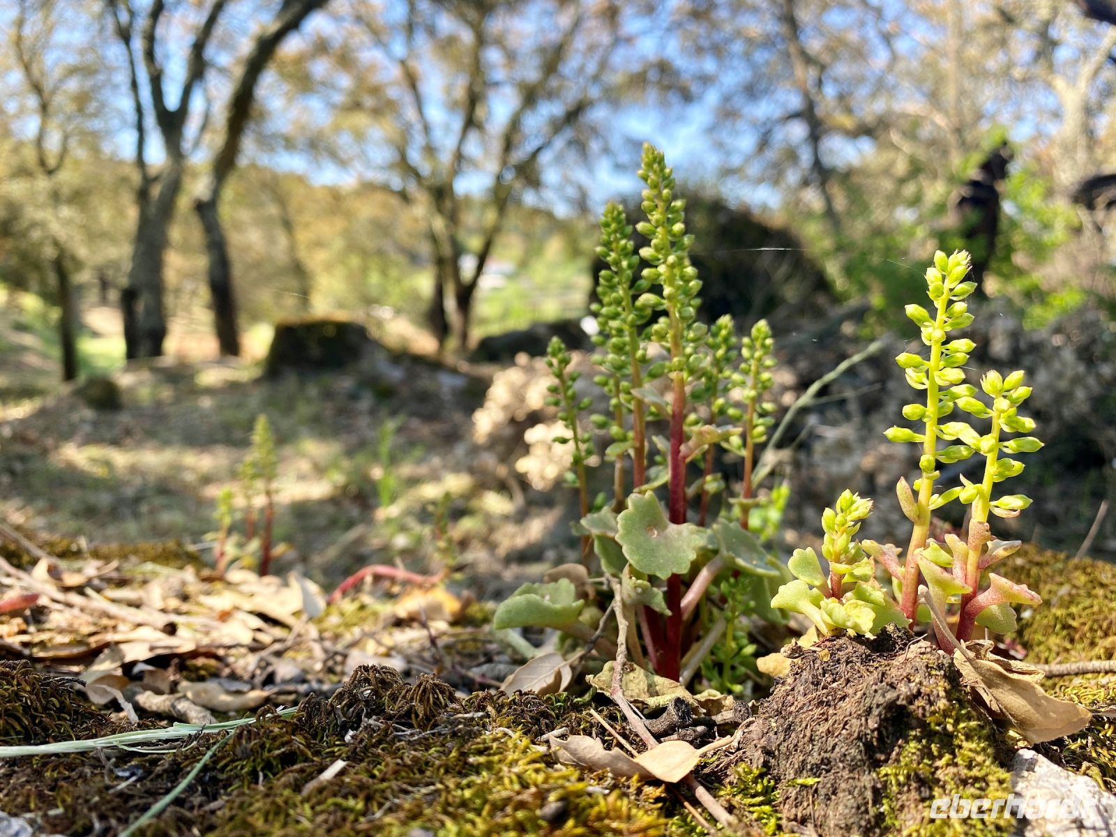 Tag 7 - Impressionen.jpg