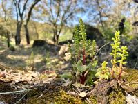 Tag 7 - Impressionen.jpg