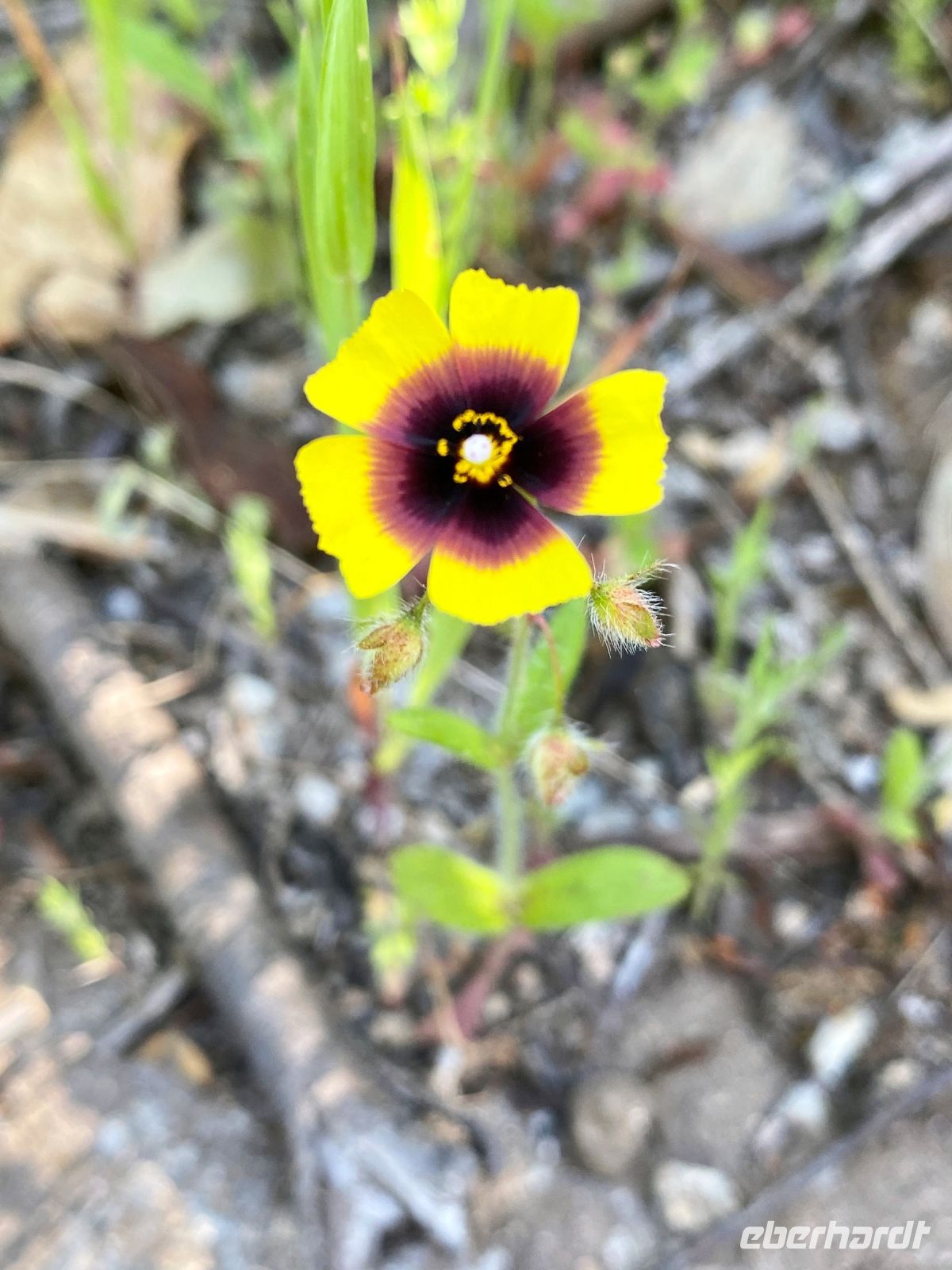 Tag 7 - Impressionen.jpg