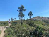 Tag 7 - Picota (773m).jpg