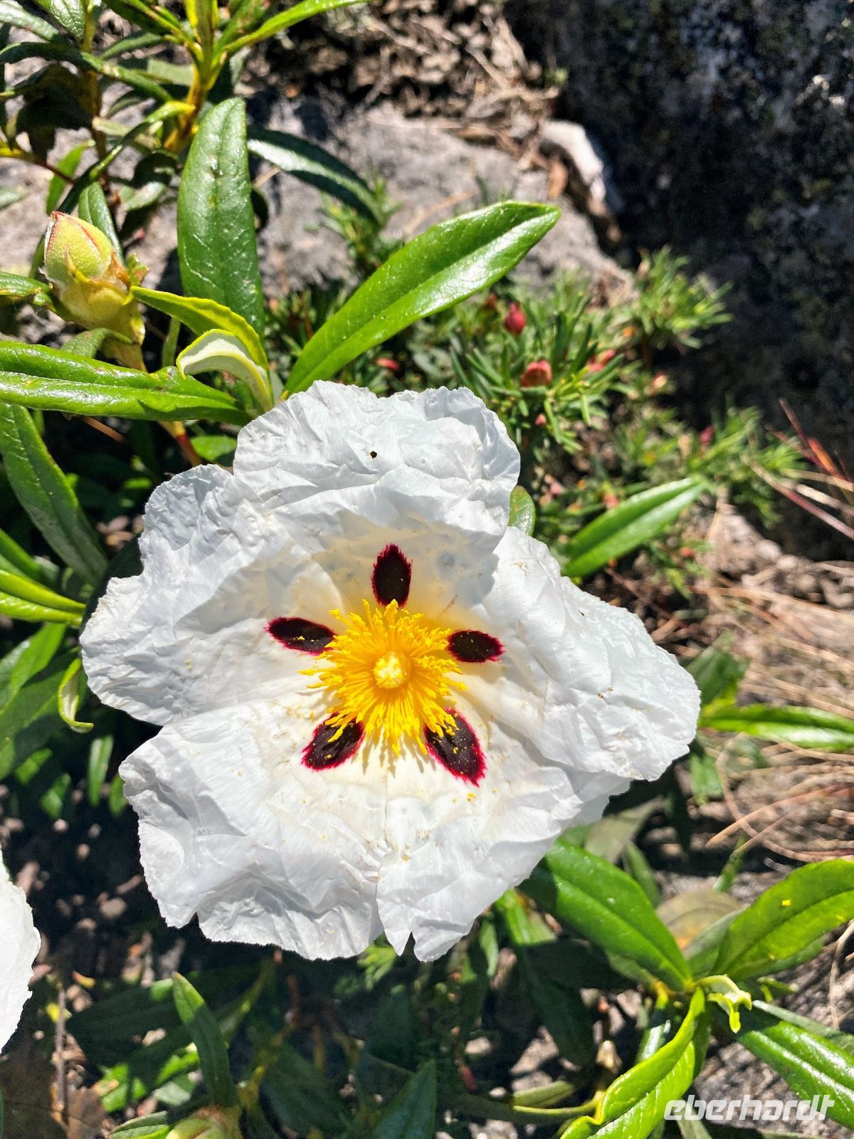 Tag 7 - Impressionen.jpg