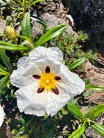 Tag 7 - Impressionen.jpg