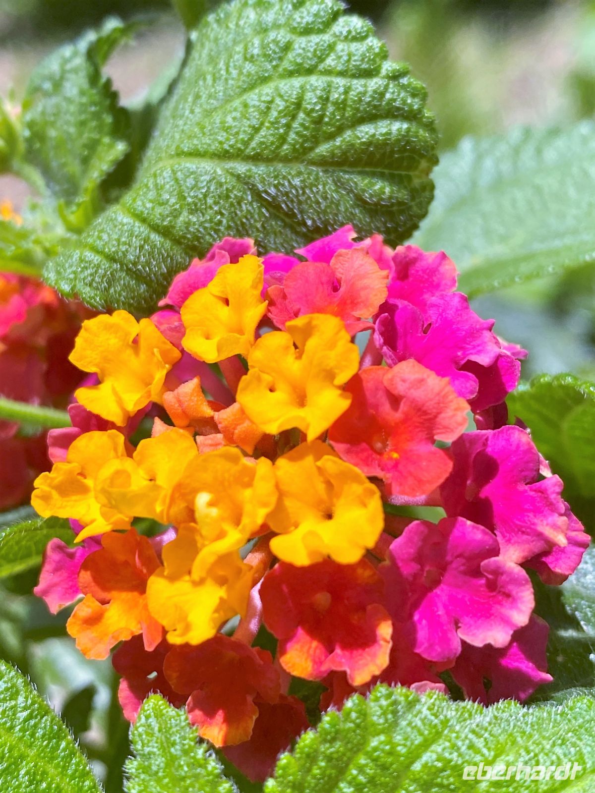 Tag 7 - Impressionen.jpg