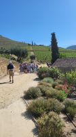 Flusskreuzfahrt Douro - Quinta da Roeda im Douro-Tal